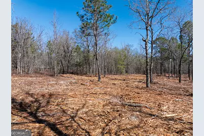 10.5 Acres River Road LOT #2, Waynesboro, GA 30830 - Photo 13