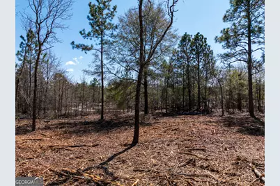 10.5 Acres River Road LOT #2, Waynesboro, GA 30830 - Photo 17