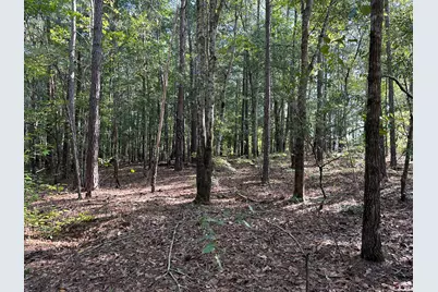 707 Pebblebrook Road #10.26 ACRES, Woodbury, GA 30293 - Photo 19