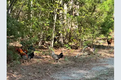 707 Pebblebrook Road #10.26 ACRES, Woodbury, GA 30293 - Photo 15