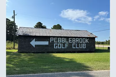 707 Pebblebrook Road #10.26 ACRES, Woodbury, GA 30293 - Photo 23