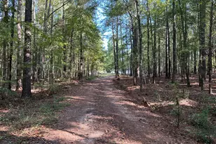 707 Pebblebrook Rd, Woodbury, GA 30293 - Photo 1