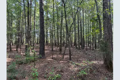 707 Pebblebrook Road #10.26 ACRES, Woodbury, GA 30293 - Photo 21