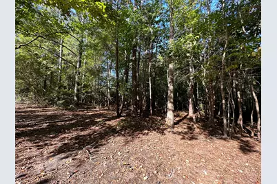 707 Pebblebrook Road #10.26 ACRES, Woodbury, GA 30293 - Photo 17