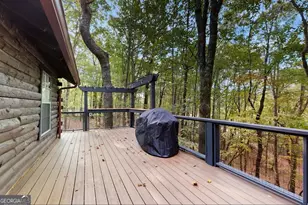 325 Pettit Ridge Rd, Ellijay, GA 30536 - Photo 25