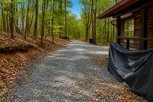 325 Pettit Ridge Rd, Ellijay, GA 30536 - Photo 7