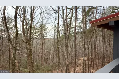 325 Pettit Ridge Rd, Ellijay, GA 30536 - Photo 37