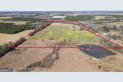 1685 Union Hill Road, Pelham, GA 31779 - Photo 13