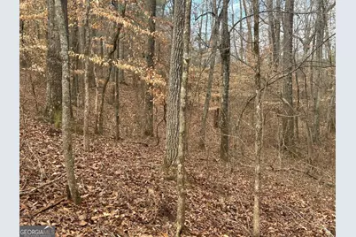 128 River Cove (Tract 17), Carrollton, GA 30117 - Photo 35