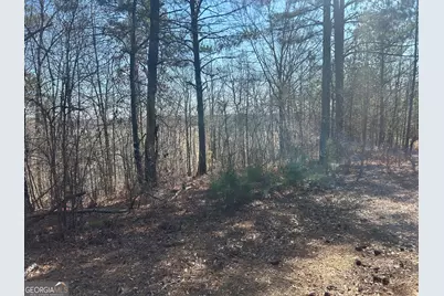 128 River Cove (Tract 17), Carrollton, GA 30117 - Photo 5