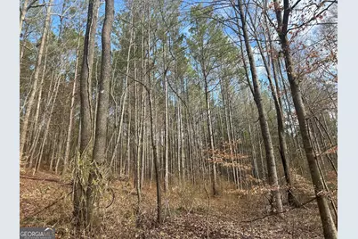 128 River Cove (Tract 17), Carrollton, GA 30117 - Photo 69