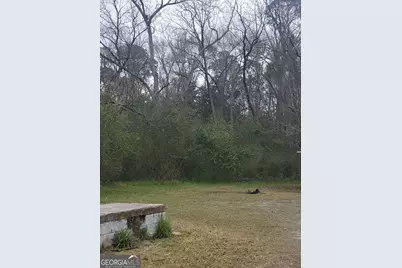 301 Shipp Lane, Sylvester, GA 31791 - Photo 3