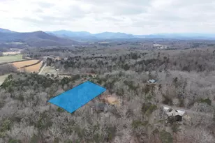 180 Shepherds Ridge Rd, Morganton, GA 30560 - Photo 23