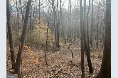 114 River Cove (Tract 16), Carrollton, GA 30117 - Photo 67