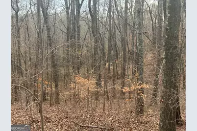 114 River Cove (Tract 16), Carrollton, GA 30117 - Photo 37