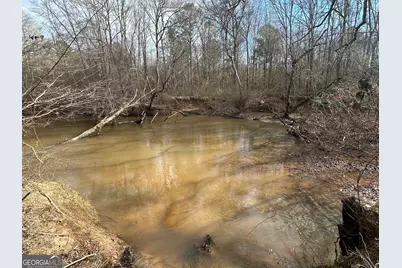 114 River Cove (Tract 16), Carrollton, GA 30117 - Photo 59