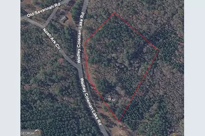 0 Wadley Coleman Lake, Midville, GA 30441 - Photo 1