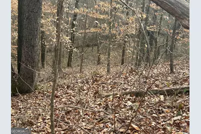 167 Riversong (Tract 15), Carrollton, GA 30117 - Photo 41