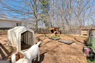 1780 Double Bridge Rd, Demorest, GA 30535 - Photo 41