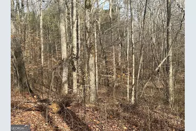 209 Riversong (Tract 12), Carrollton, GA 30117 - Photo 39