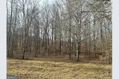 236 Riversong (Tract 8), Carrollton, GA 30117 - Photo 55