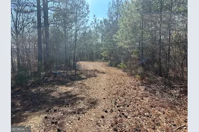 236 Riversong (Tract 8), Carrollton, GA 30117 - Photo 13