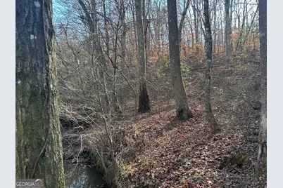 222 Riversong (Tract 7), Carrollton, GA 30117 - Photo 53