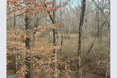 222 Riversong (Tract 7), Carrollton, GA 30117 - Photo 57