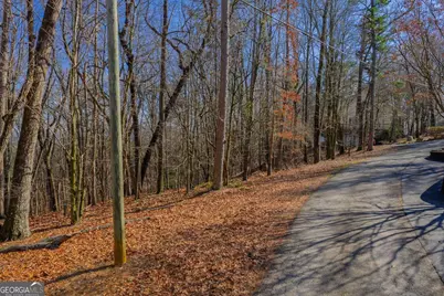 55 Spruce Drive #55, Ellijay, GA 30540 - Photo 7