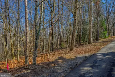 55 Spruce Drive #55, Ellijay, GA 30540 - Photo 5