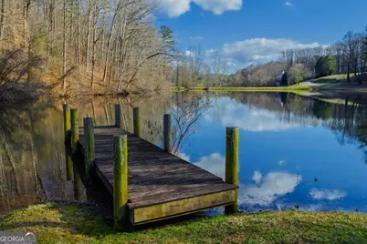 55 Spruce Drive #55, Ellijay, GA 30540 - Photo 13