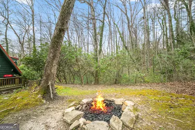 91 Rose Circle, Clayton, GA 30525 - Photo 19