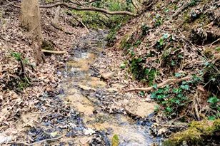 91 Rose Cir, Clayton, GA 30525 - Photo 3