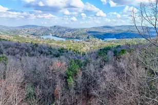 1039 Arbor Dr, Lakemont, GA 30552 - Photo 11