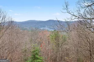 1039 Arbor Dr, Lakemont, GA 30552 - Photo 77