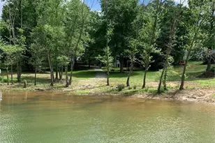 1250 Chapman Ford Rd, Blairsville, GA 30512 - Photo 13