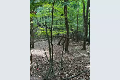 1225-1227 Oglethorpe Road, Jasper, GA 30143 - Photo 15