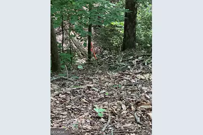 1225-1227 Oglethorpe Road, Jasper, GA 30143 - Photo 27