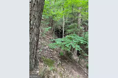 1225-1227 Oglethorpe Road, Jasper, GA 30143 - Photo 29