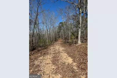0 Brown Creek Road, Shiloh, GA 31826 - Photo 17