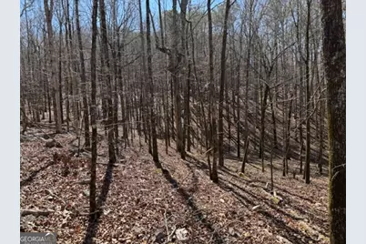 0 Brown Creek Road, Shiloh, GA 31826 - Photo 13