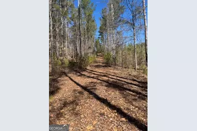 0 Brown Creek Road, Shiloh, GA 31826 - Photo 27