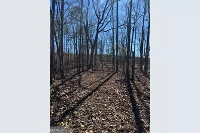0 Brown Creek Road, Shiloh, GA 31826 - Photo 23