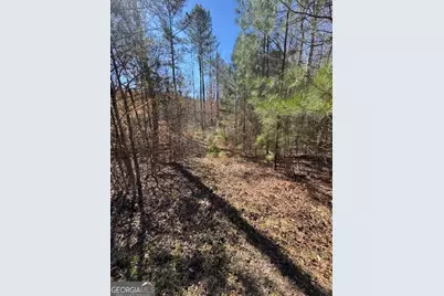 0 Brown Creek Road, Shiloh, GA 31826 - Photo 3