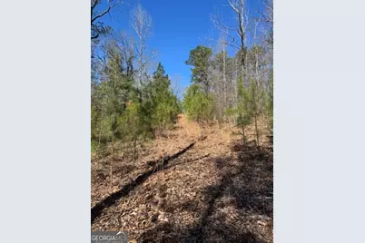 0 Brown Creek Road, Shiloh, GA 31826 - Photo 21