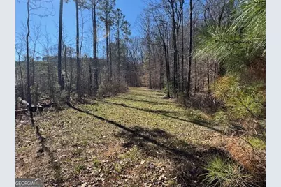 0 Brown Creek Road, Shiloh, GA 31826 - Photo 5