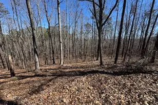 0 Brown Creek Rd, Shiloh, GA 31826 - Photo 1