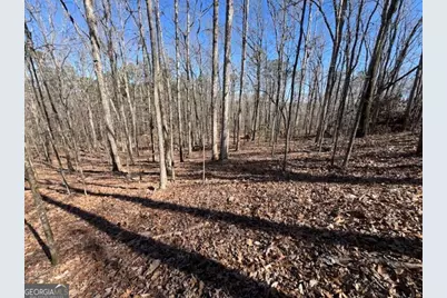 0 Brown Creek Road, Shiloh, GA 31826 - Photo 11