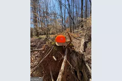 0 Brown Creek Road, Shiloh, GA 31826 - Photo 25