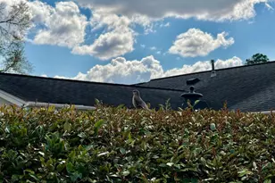 1206 Center Dr, Vidalia, GA 30474 - Photo 57